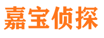 大余市侦探调查公司